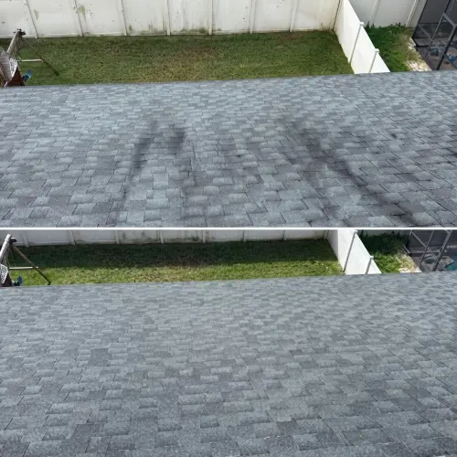 Roof cleaning results in Tampa, FL