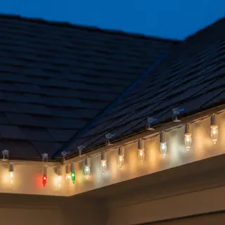 C9 Bulbs C9 Bulbs