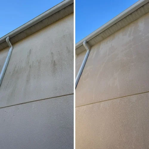 Restored home exterior after soft washing in Tampa, FL