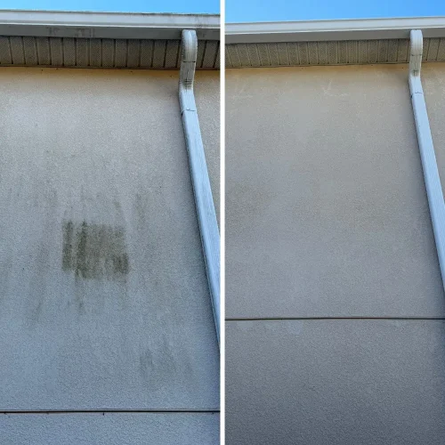 Soft-washed home exterior in Tampa, FL