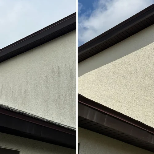 House wash completed in Tampa, FL