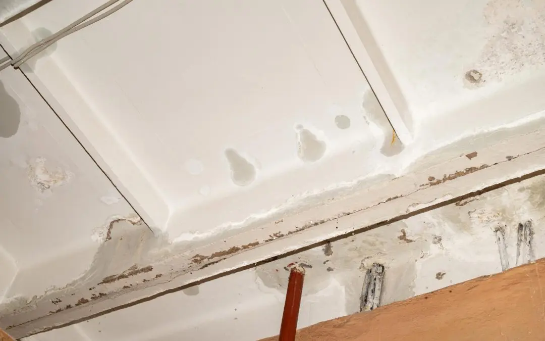 Effective Water Damage Restoration Techniques for Maryland Homes