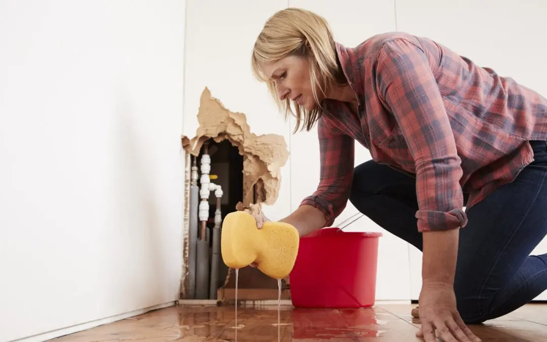 Water Damage Categories Explained: Protocols & Precautions for Your Home