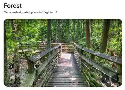 Forest Virginia