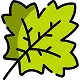 Green leaf with prominent veins and serrated edges Takeoff-Moving Toronto