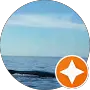 Calm ocean waves under a clear blue sky Takeoff-Moving Toronto