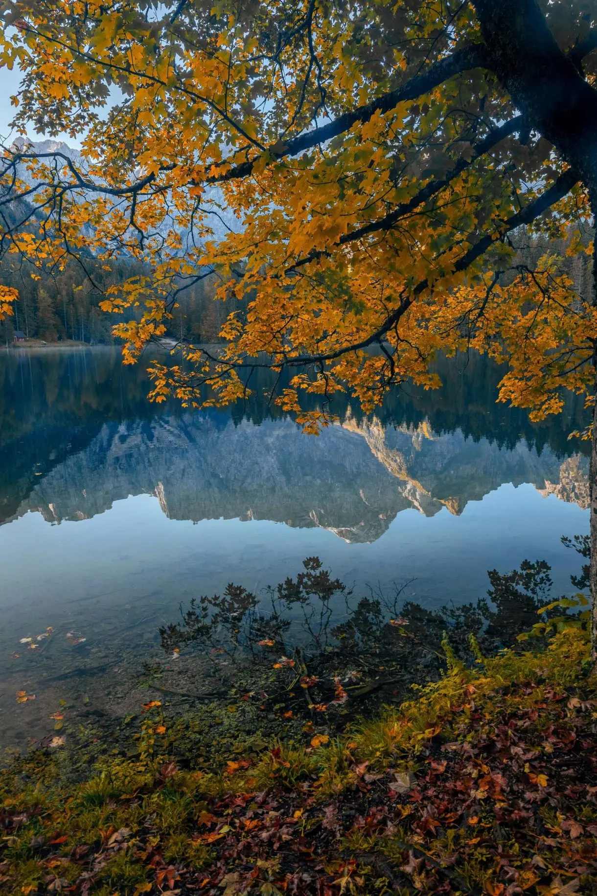 Why Clarity Has Been So Hard to Find