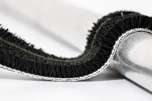 Sealing Light