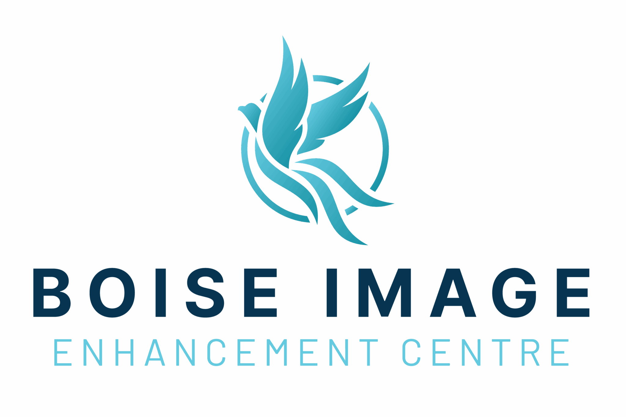 Boise Image Enhancement Centre, Inc