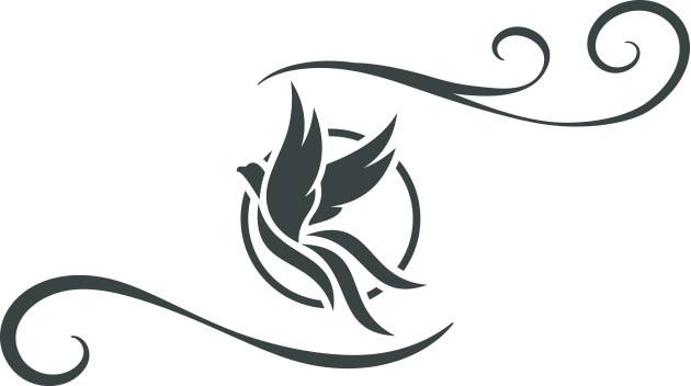 Boise Image Icon