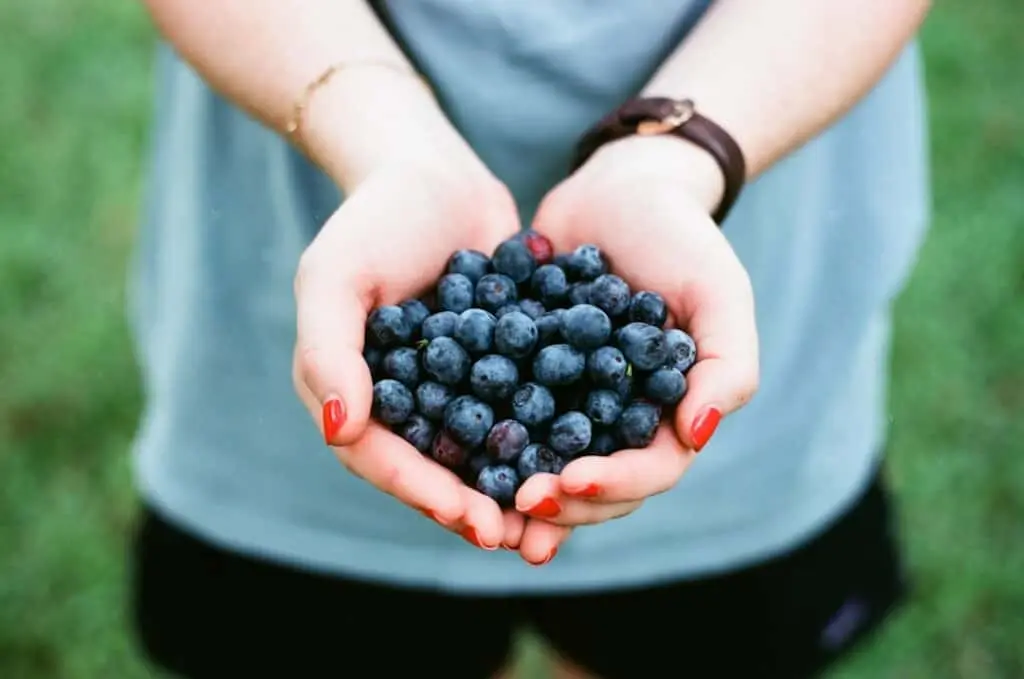 Optimizing Immune Health and Resistance: The Power of Functional Medicine