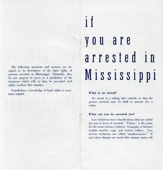 LDF pamphlet 2