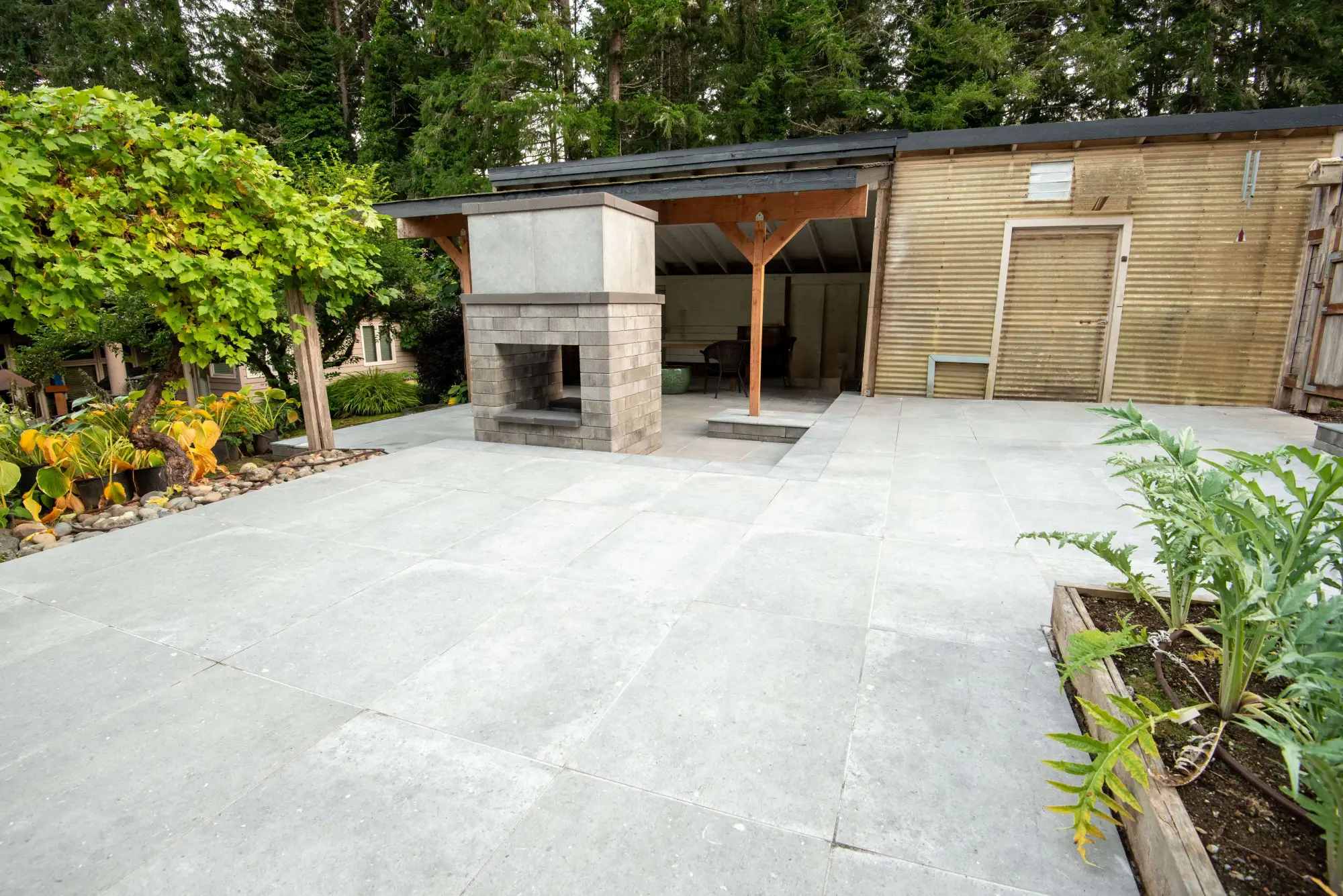 Clean porcelain tile installation on a spacious backyard patio with greenery and wood structures