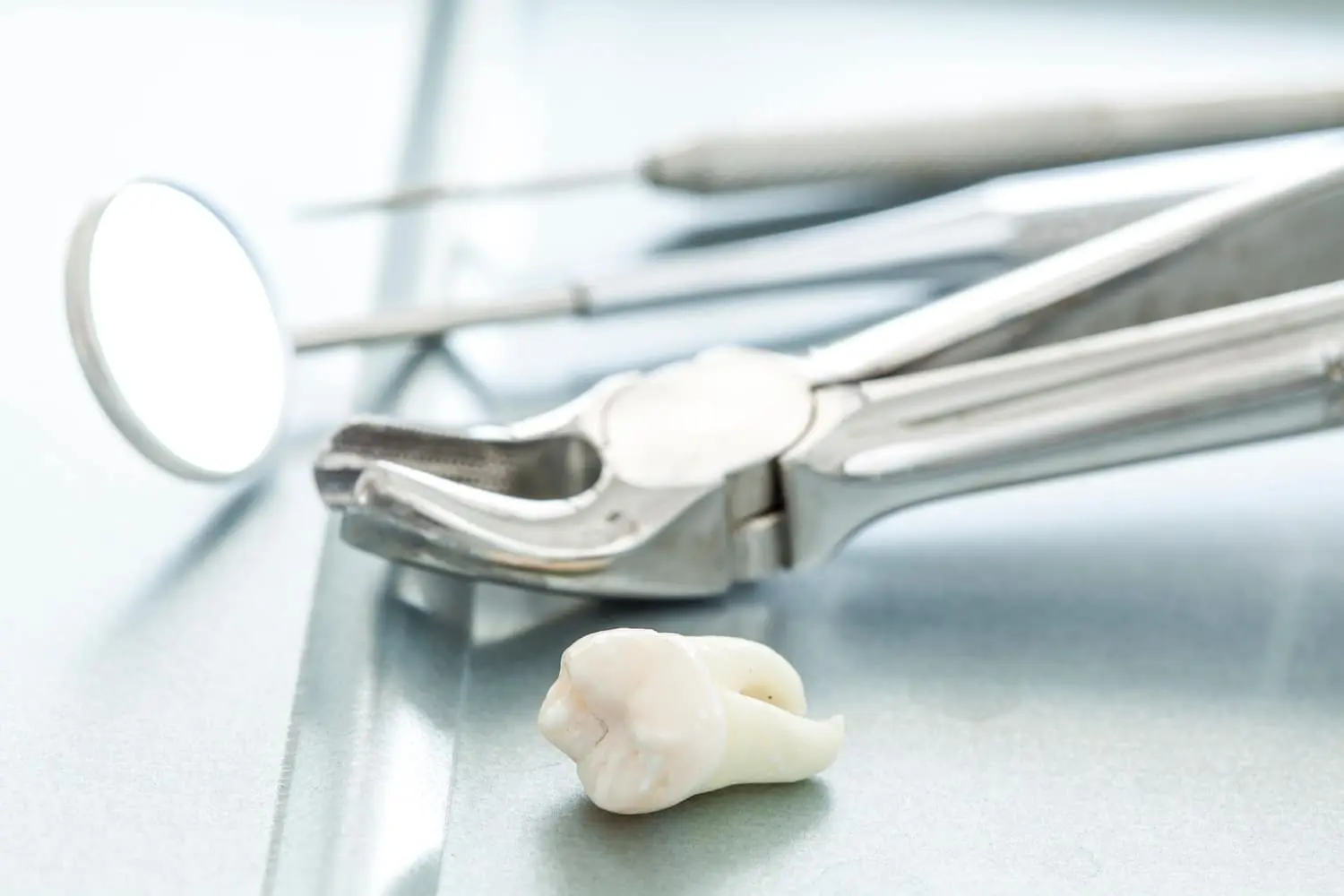 dry socket symptoms tools for tooth extraction with tooth
