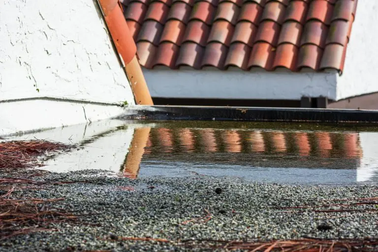 Ponding water on flat roof covered with tree debris after heavy rain. Standing water is a sign of a drainage problem, clogged gutters and drains, roof settling or sagging, framing issue.