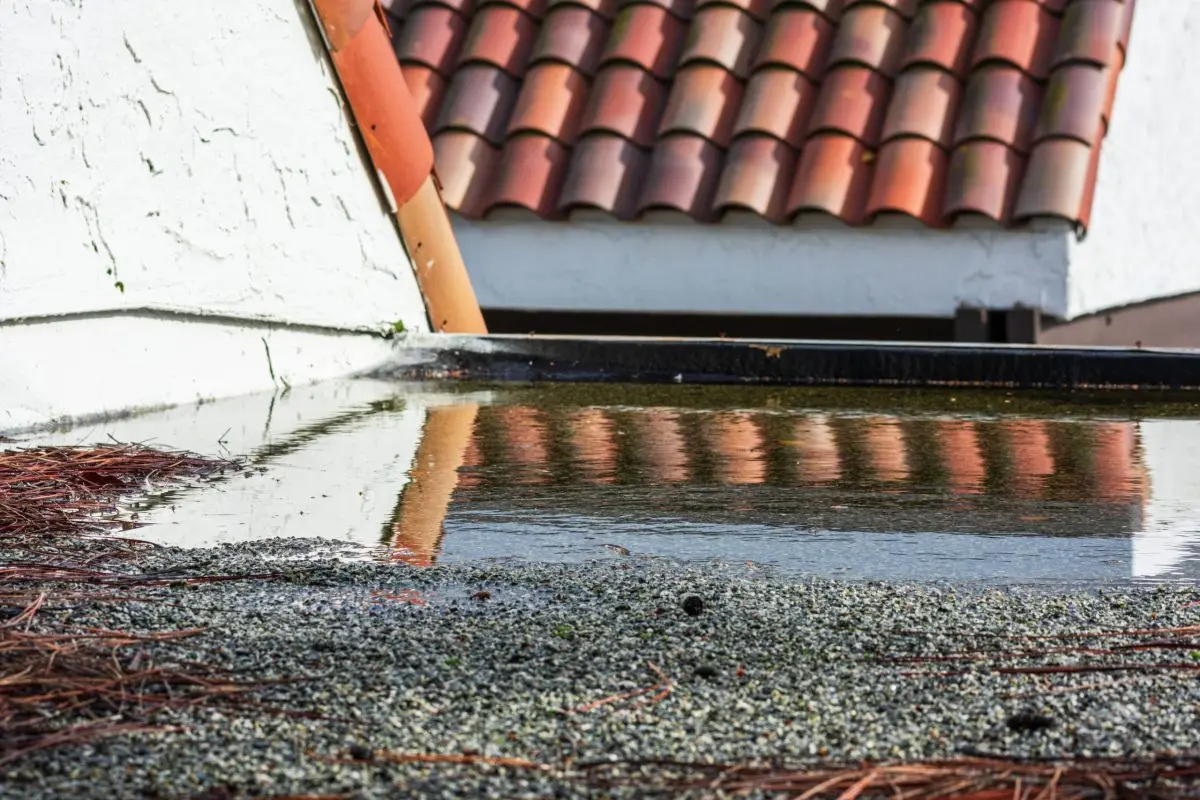 Ponding water on flat roof covered with tree debris after heavy rain. Standing water is a sign of a drainage problem, clogged gutters and drains, roof settling or sagging, framing issue.