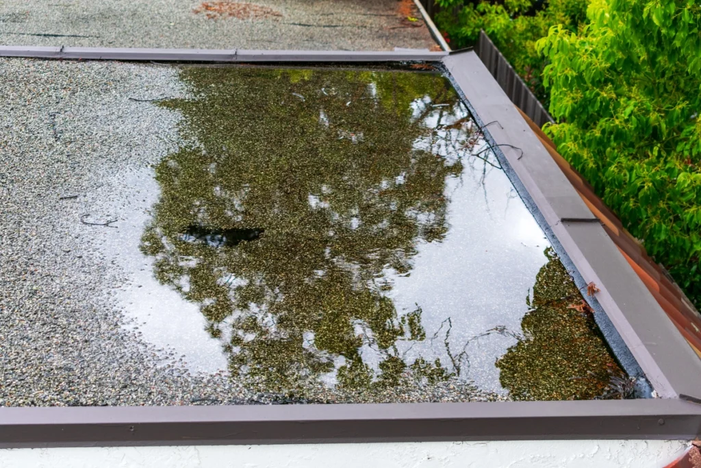 flat roof repair