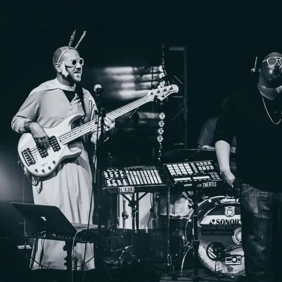 Concert photo TNERTLE performing at the Bluebird Theater in Denver