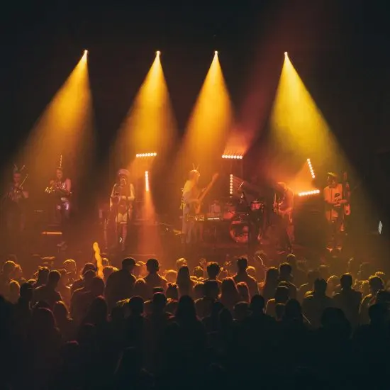 Concert photo TNERTLE performing at the Bluebird Theater in Denver