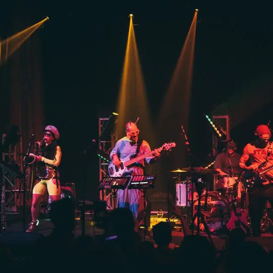 Concert photo TNERTLE performing at the Bluebird Theater in Denver