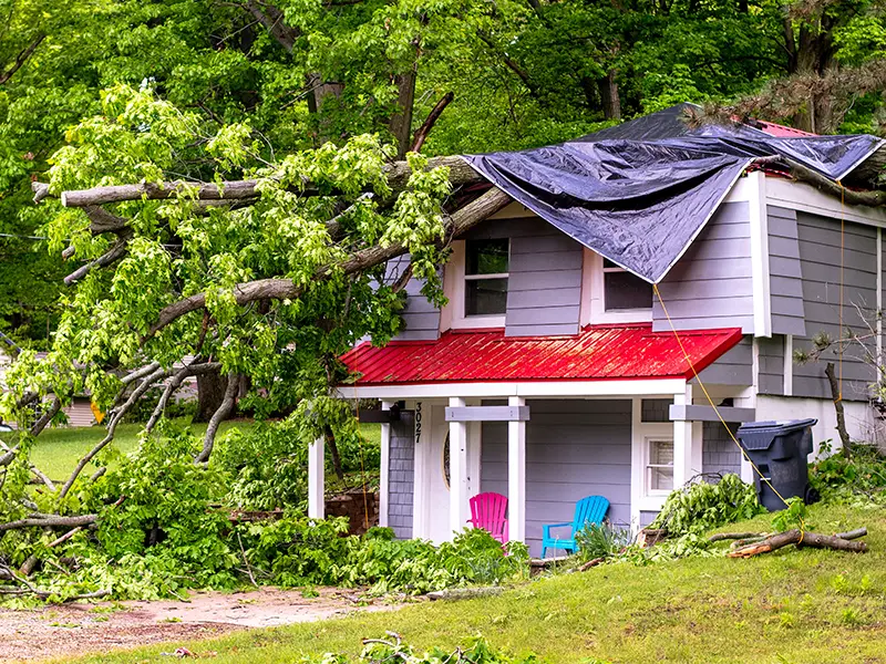 Tree fallen on top of house after storm damage in Portland, OR