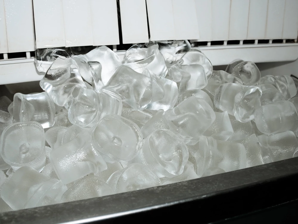 Molded ice cubes inside the ice maker