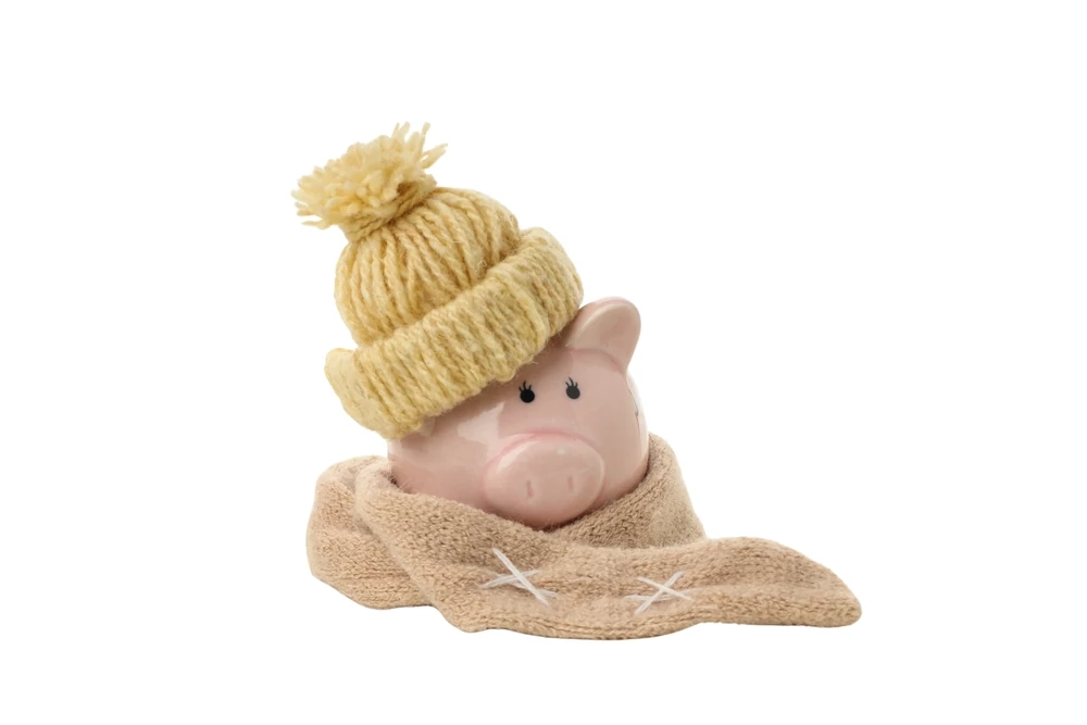 piggy bank wearing a scarf