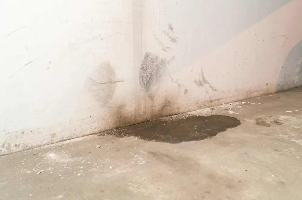 basement moisture