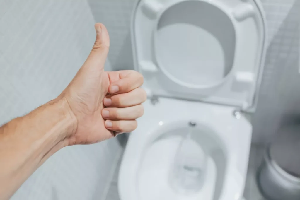 new toilet