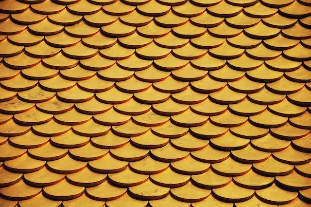 close-up of conical shingles