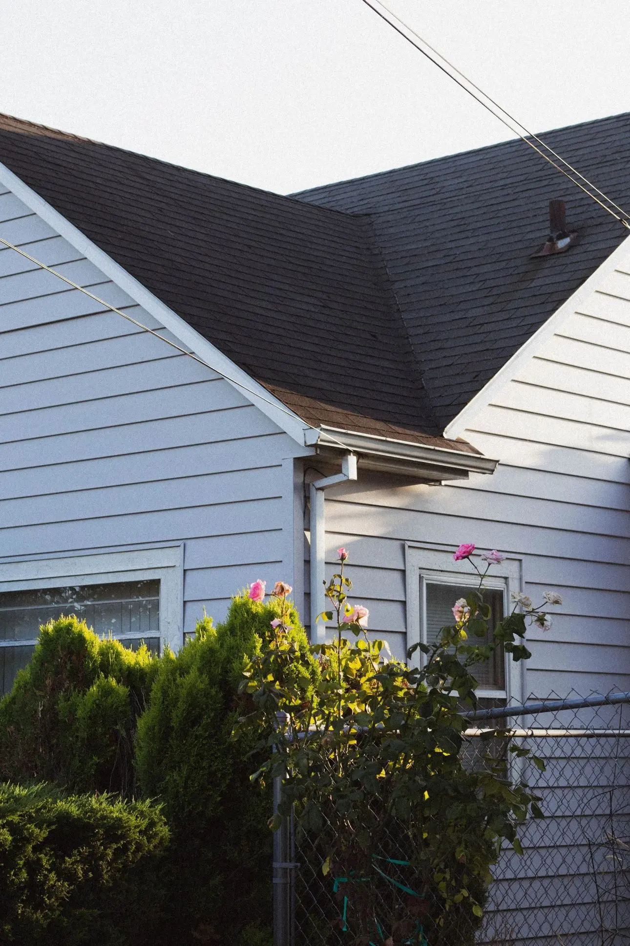 The roof of a house that can be used to collect and conserve water