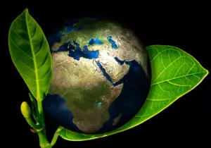 think green think hotedge
