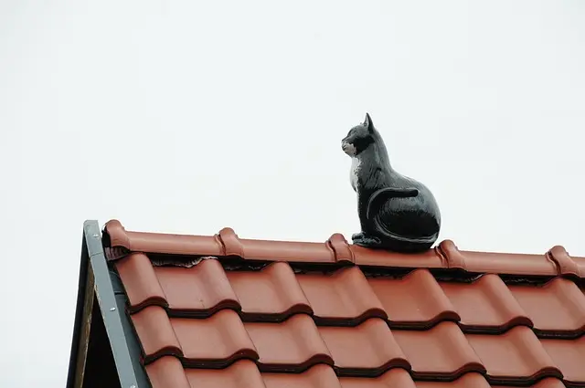 roof, house, roof panels
