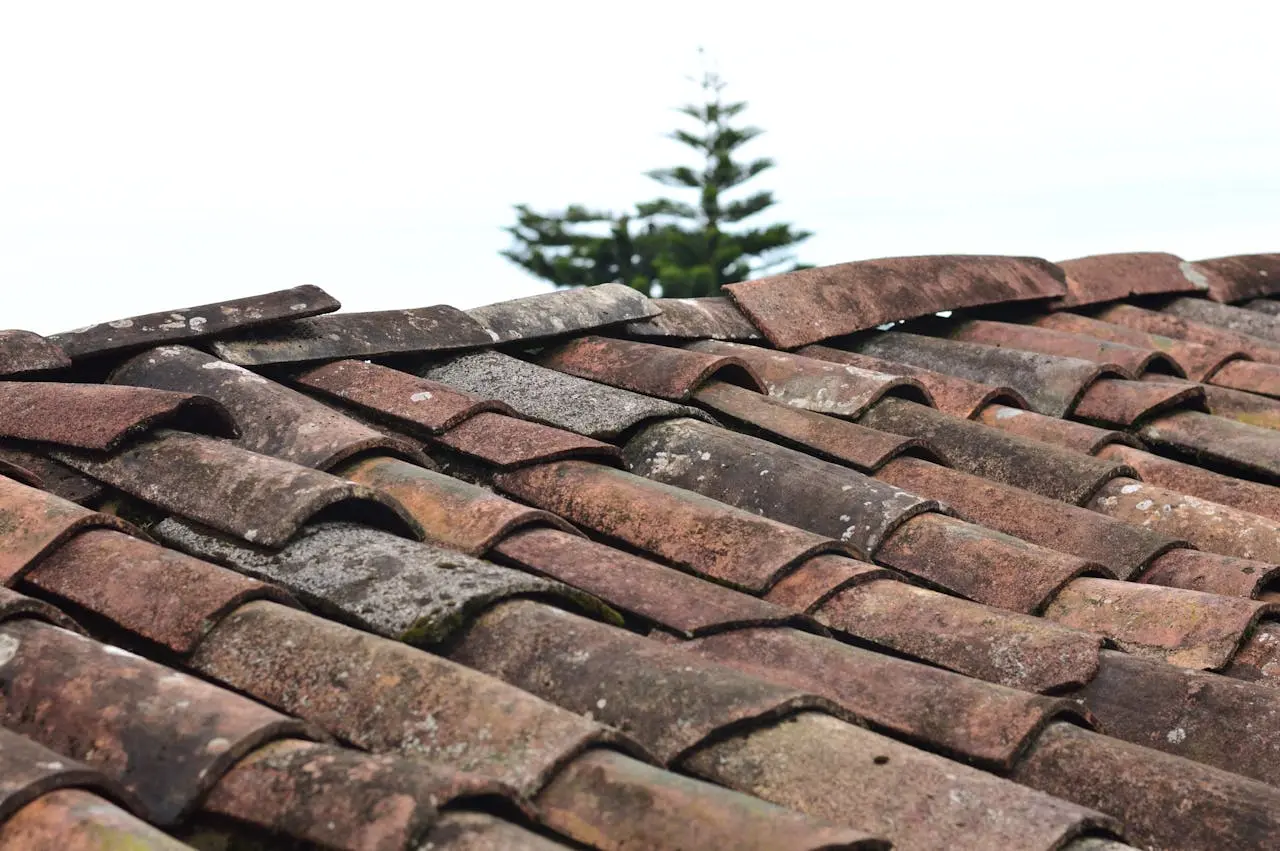 Selective focus on brown shingles.