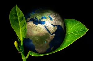 How Certain Roof Melt Chemicals Can Harm the Environment