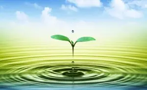 The benefits of mindfulness | Waikiki Therapist