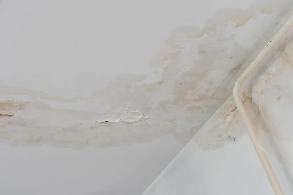 Water stain on a white ceiling