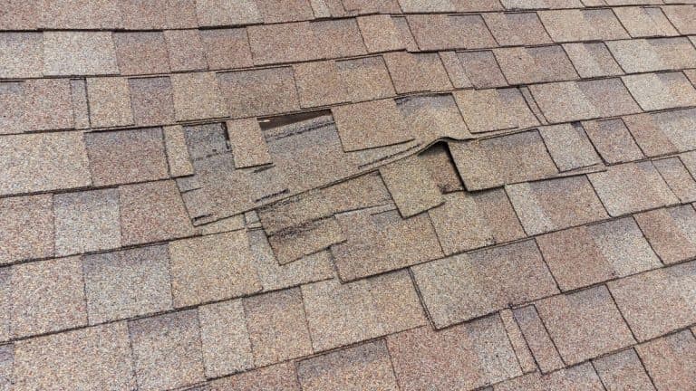 roof leak repair cost brown shingles roof