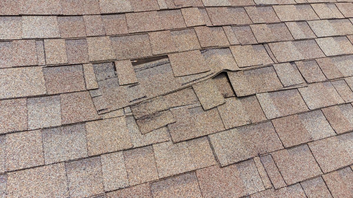 roof leak repair cost brown shingles roof