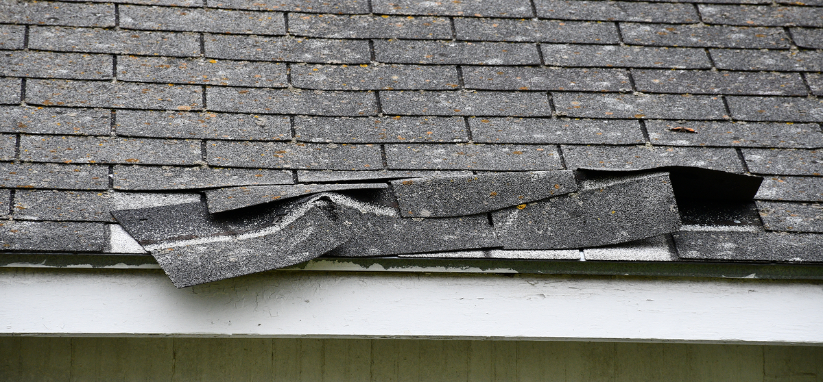 damage shingles on roof