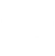 ISS Audi