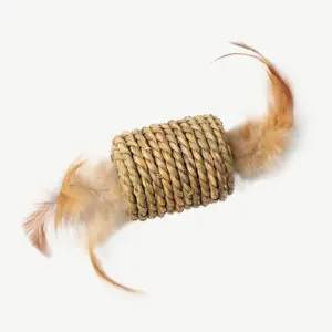 Kitty Toy