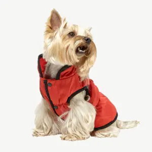 Warm raincoat