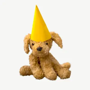 Party hat