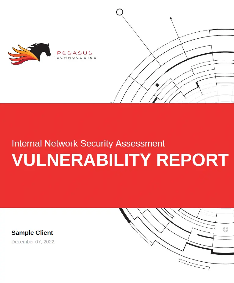 Pegasus Technologies penetration test and vulnerability scan service