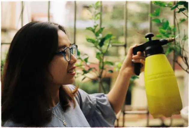 Tree Health Assessments - Zazueta Tree Specialists - Zazueta Tree Specialists Woman wearing glasses using a yellow pump sprayer to care for green plants near a window.