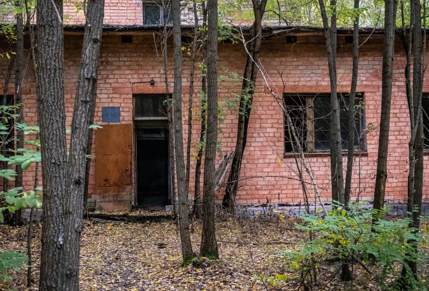 Overgrown property surrounding an abandoned brick building with dense trees and fallen leaves.