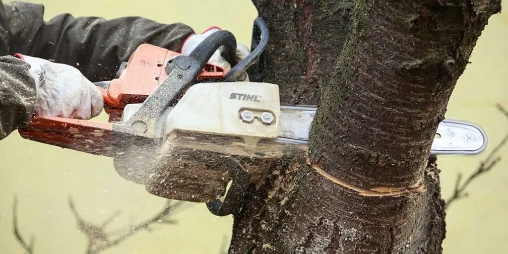 Close-up of a gloved operator using a chainsaw to cut a thick tree branch with sawdust flying from the cut.