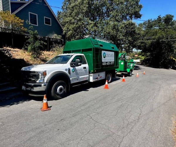 Zazueta Tree Specialists truck and chipper staged curbside with traffic cones, ready for a professional tree care project in the neighborhood.