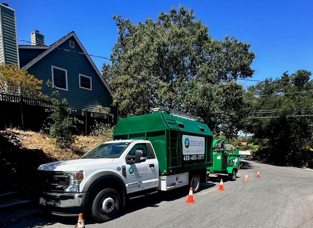 Branded Tree Service Vehicle - Zazueta Tree Specialists - Zazueta Tree Specialists Zazueta Tree Specialists truck and chipper staged curbside with traffic cones, ready for a professional tree care project in the neighborhood.